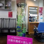 <span class="title">地元の平和不動産企画であります街レポの取材を受けました</span> <span class="title">地元の平和不動産企画であります街レポの取材を受けました</span>